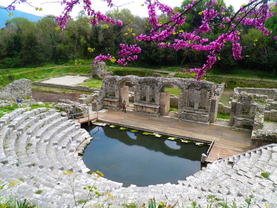 Nexhipi Tours